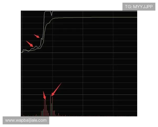 ag盘口的详细介绍与最新玩法解析