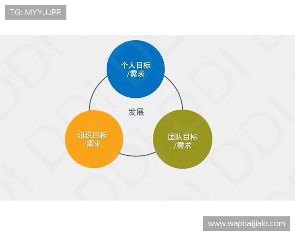 企业打造高品质视讯官网的关键要素与常见设计误区解析