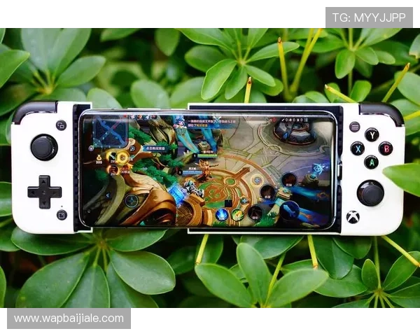 多平台支持的AG网站app，随时随地畅玩高品质的线上娱乐游戏