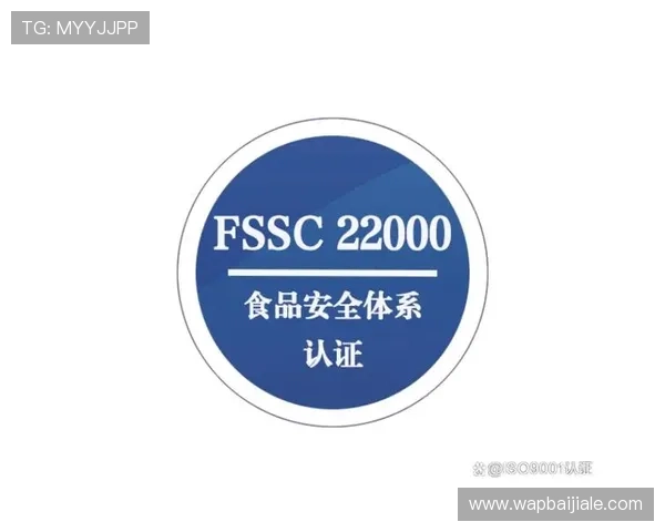 九游会真人第一品牌安全保障措施详解，保障每一位玩家的资金与信息安全
