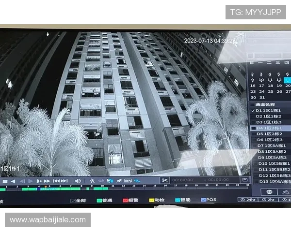 如何选择安全可靠的真人视讯客户端，保障个人信息与资金安全