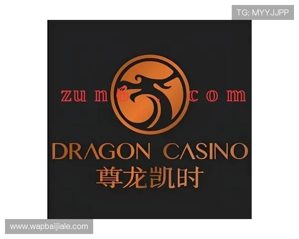 尊龙凯时百家乐官网提供丰富的奖金奖励与优惠政策，帮助玩家轻松提升盈利空间