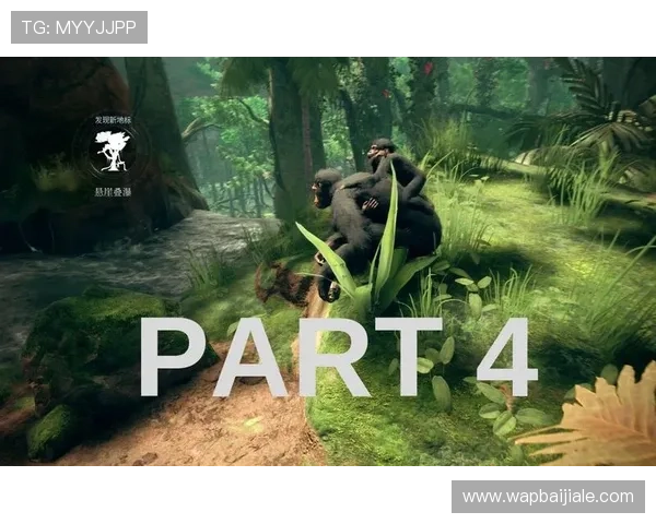 如何通过PA中文官网获取最新游戏资讯、活动信息及官方公告的详细指南