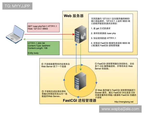深入解析bg视讯各平台的不同特点，助你在众多平台中做出明智的选择