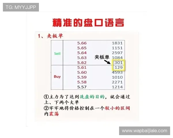 体育真人盘口的玩法介绍与实用技巧让你轻松赢得比赛投注