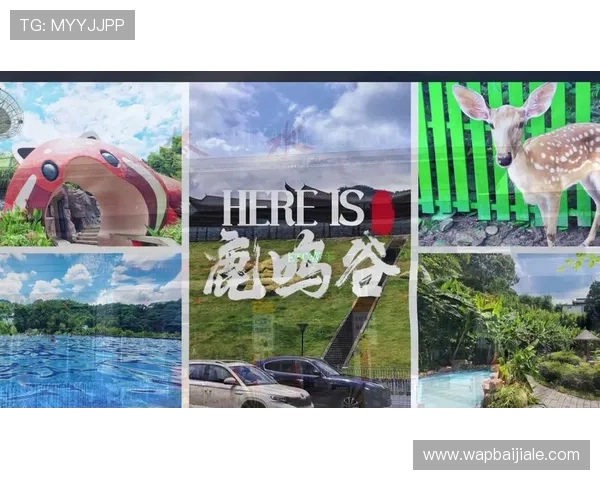 好玩的真人游戏推荐让你体验真实互动的娱乐新方式 好玩的真人游戏推荐让你体验真实互动的娱乐新方式